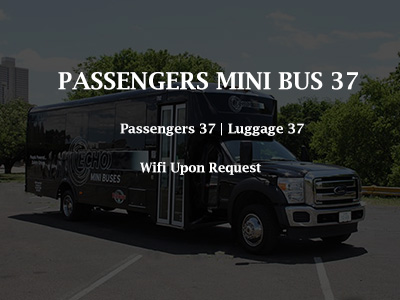 Mini Bus | Cape Cod Black Car