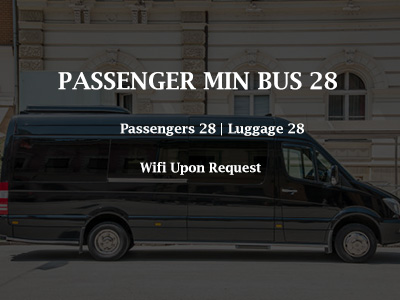 Mini Bus | Cape Cod Black Car